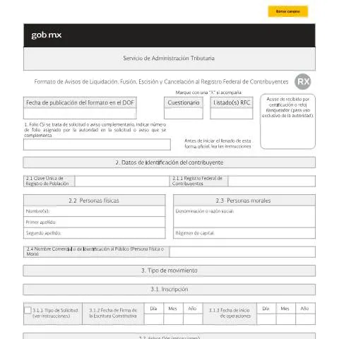 Vista previa del documento El Formato RX y su Relevancia en el Sistema Fiscal Mexicano — Impuestos (CERFA n°RX)
