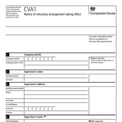 Document preview: Understanding the CVA1 Document for Companies — Business