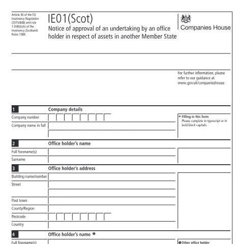 Document preview: Navigating the IE01(Scot) for Effective Asset Management — Business