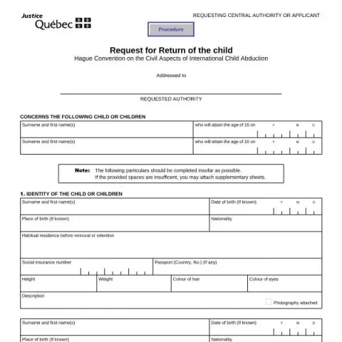 Document preview: Understanding the Request for Return of the Child Form (AJ-132A) — Legal & justice (AJ-132A)