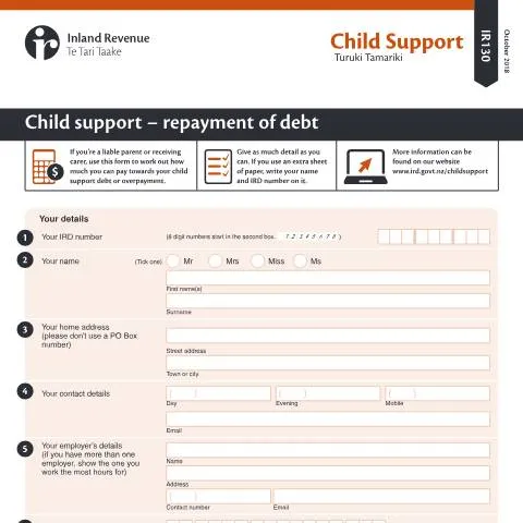 Document preview: Understanding the IR130 for Child Support Debt — Government & admin (CERFA n°IR130)