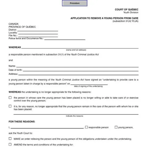 Document preview: Understanding the Application to Remove a Young Person from Care — Legal & justice (SJ-881A)
