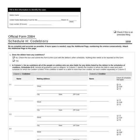Document preview: Understanding Official Form 206H: Schedule H , Codebtors — Legal & justice (206H)