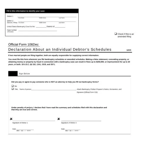 Document preview: Overview of Official Form 106Dec for Individual Debtors — Legal & justice (Official Form 106Dec)