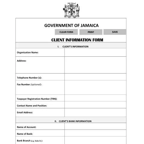 Document preview: Understanding the Jamaica Client Information Form for Government — Government & admin (CERFA n°client_info_form)