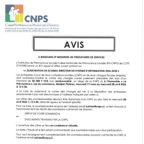 Aperçu du document Élaboration du Schéma Directeur du Système d'Information 2026-2030 — Démarches administratives
