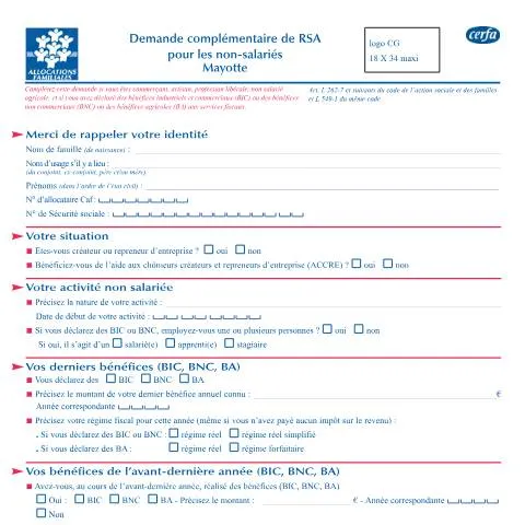 Aperçu du document Demande complémentaire RSA : guide pour les indépendants mahorais — Aides & prestations sociales (CERFA n°14585*01)