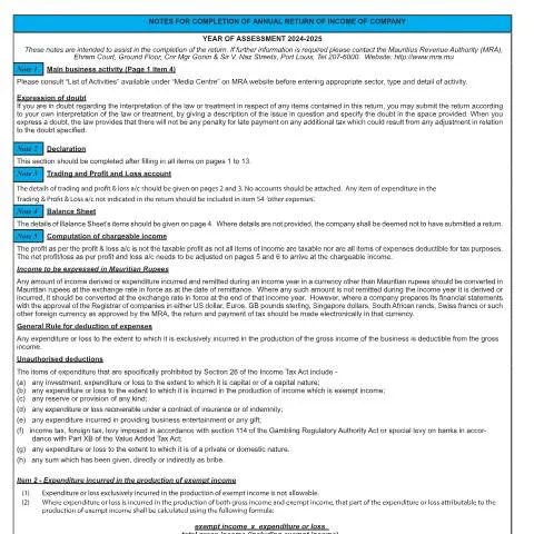 Document preview: Why the Annual Return of Income Matters for Companies in Mauritius — Government & admin (CERFA n°NotesCT03_2425)