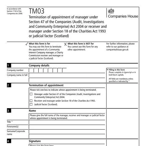 Document preview: Understanding the TM03 Submission Process for Company Management — Business
