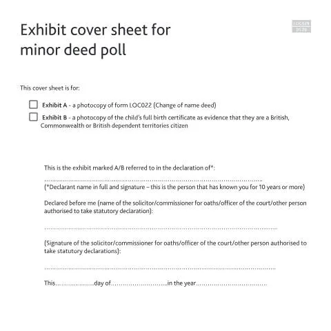 Document preview: Understanding Form LOC028: Exhibit Cover Sheet for Child Name Changes — Civil status & identity