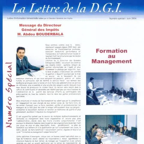 Aperçu du document Comprendre le LDGI n Special formation et ses implications — Démarches administratives (CERFA n°LDGI n Special formation)