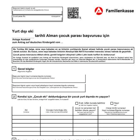 Dokumentvorschau: Wichtige Informationen zum KG 51-t Anlage Ausland Formular — Familie (CERFA n°kg51-t-anlageausland_ba032535)