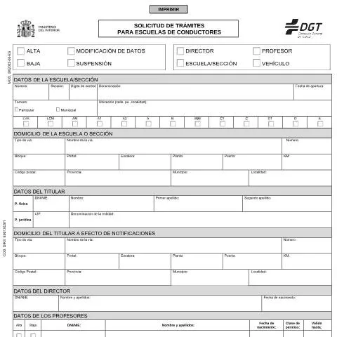 Vista previa del documento Modelo 08: Registro Esencial para Escuelas de Conductores — Trámites administrativos (CERFA n°08)
