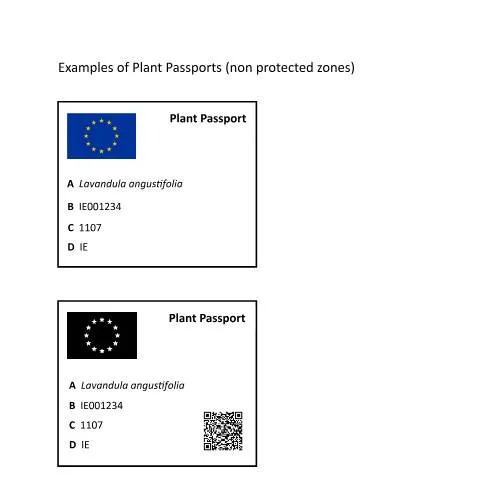 Document preview: Understanding Plant Passports and Their Importance in Ireland — Government & admin