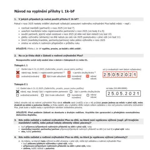 Dokumentvorschau: Der L1k-bF-Erl-CS Antrag im Detail — Behörden & Verwaltung (CERFA n°L1k-bF-Erl-CS)