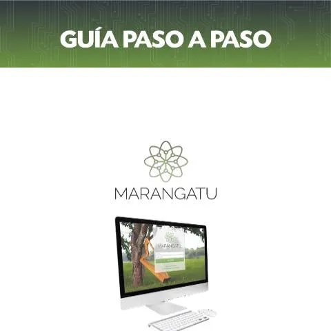 Vista previa del documento Guía paso a paso para presentar la DJI N° 7 rectificativa en Paraguay — Impuestos