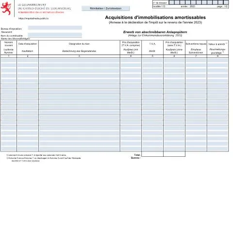 Aperçu du document Comprendre le tableau d'amortissement 113 pour les entreprises — Impôts & fiscalité (CERFA n°113)