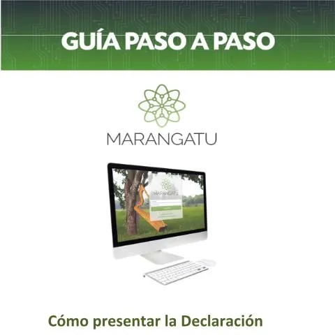 Vista previa del documento Guía paso a paso para presentar la DJI del IDU en Paraguay — Impuestos