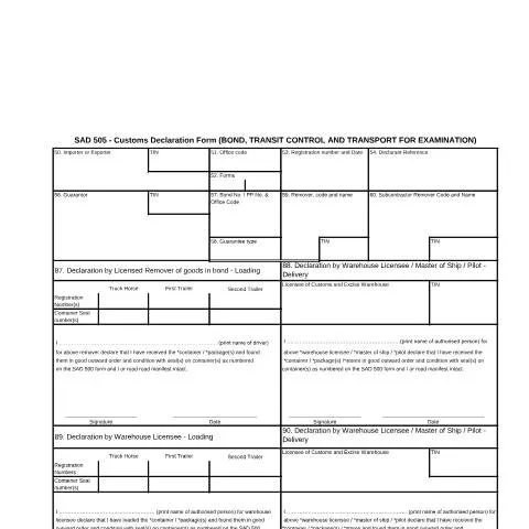 Document preview: Understanding the SAD 505 Customs Declaration Form — Government & admin (CERFA n°SAD 505)