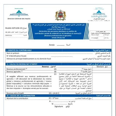 Aperçu du document Déclaration des personnes physiques pour la contribution sociale de — Impôts & fiscalité (CERFA n°ADP120B-23I)