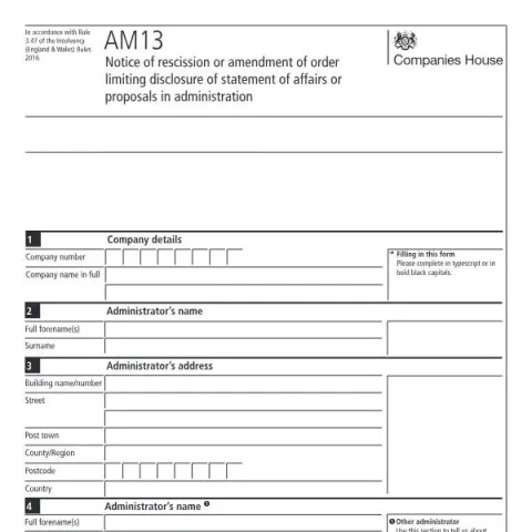 Document preview: The Importance of the AM13 Document in Corporate Governance — Government & admin (AM13)