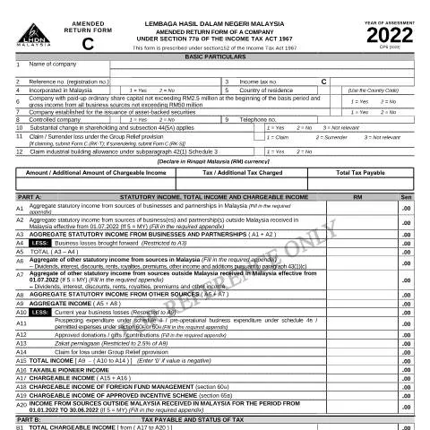 Document preview: Peranan Borang C 2022 Dipinda dalam Cukai Perusahaan — Perniagaan & profesional
