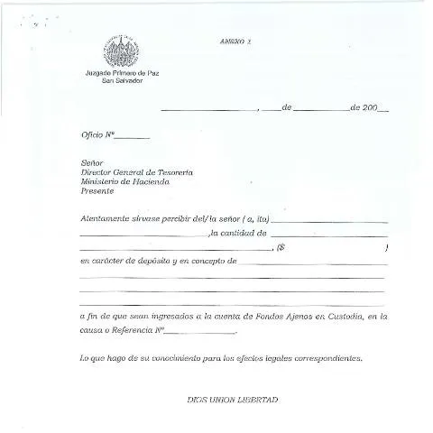Vista previa del documento La Importancia del Formato de Oficio de los Juzgados en El Salvador — Impuestos (CERFA n°700-DGT-FR-0000-JUZGA)