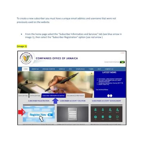 Document preview: Step-by-Step Guide to Creating Your COJ User Profile — Government & admin (CERFA n°Create new subscriber)