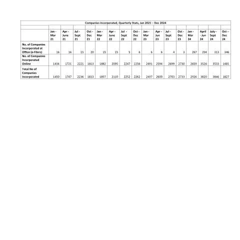 Document preview: Essential Insights into Companies Incorporated Quarterly Stats — Government & admin (Companies-Incorporated_31_Dec_2024_Quarterly_Stats)