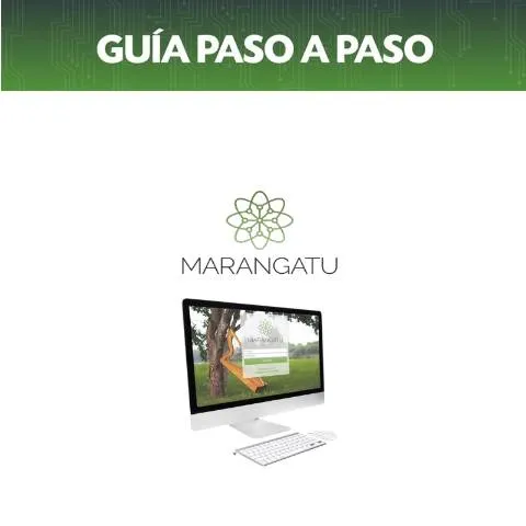 Vista previa del documento Cómo reactivar tu RUC cancelado en Paraguay en línea — Impuestos