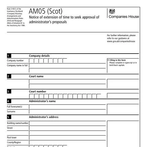Document preview: Mastering the AM05 (Scot) Document for Company Restructuring — Business