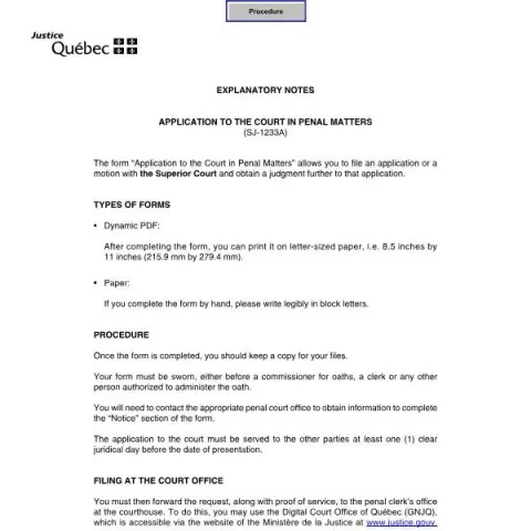 Document preview: Understanding the Application to the Court in Penal Matters (SJ-1233A) — Legal & justice (SJ-1233A)