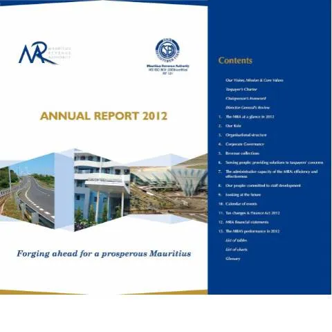 Document preview: Mastering the 2012 Publication Form in Mauritius — Government & admin (CERFA n°Report2012)