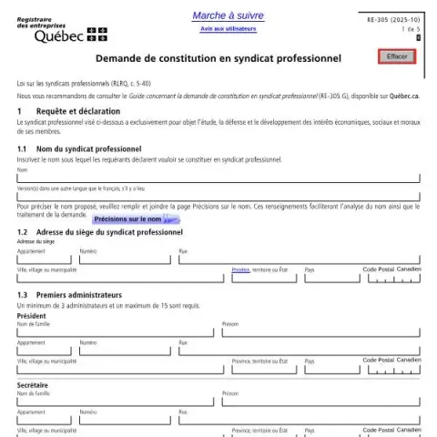 Document preview: Guide to Filing the Professional Union Formation Application (French) — Government & admin (RE-305)
