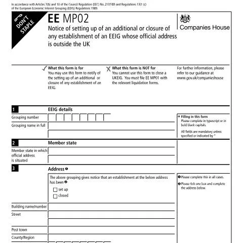 Document preview: Guide to EE MP02 for UK Economic Interest Groupings — Government & admin