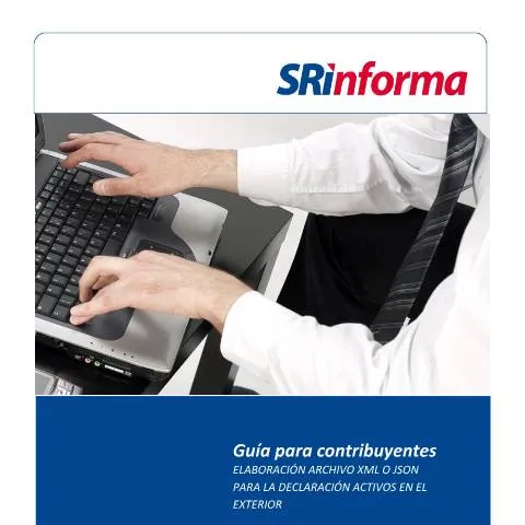 Vista previa del documento Instrucciones para completar el formulario de Activos en el Exterior — Impuestos (CERFA n°Guía para el llenado de XML y JSON Activos en el Exterior)