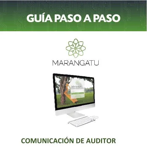 Vista previa del documento Guía paso a paso para comunicar la contratación del Auditor Externo — Trámites administrativos