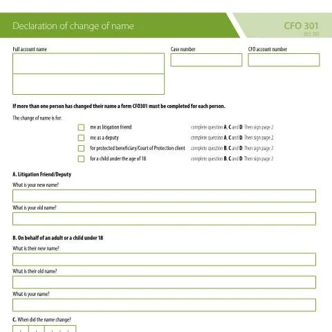 Document preview: Court Funds Name Change: Understanding the CFO 301 Process — Legal & justice