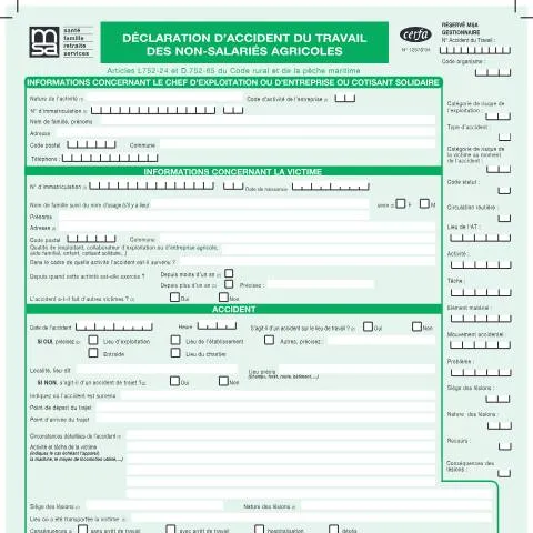 Aperçu du document Comment déclarer un accident du travail agricole non-salarié — Emploi & travail (CERFA n°12578*04)
