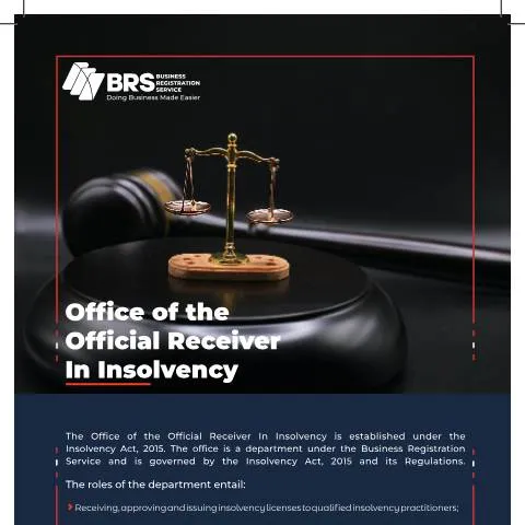 Document preview: Navigating Insolvency: The Importance of the Insolvency Form in Kenya — Government & admin (CERFA n°Insolvency)