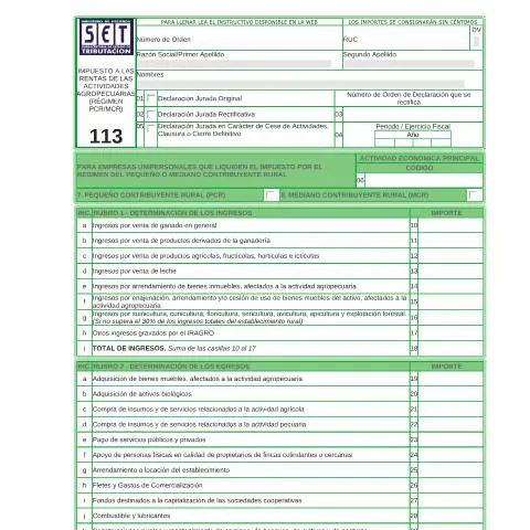Vista previa del documento Instrucciones para completar el Formulario 113 en Paraguay — Impuestos (CERFA n°F113)
