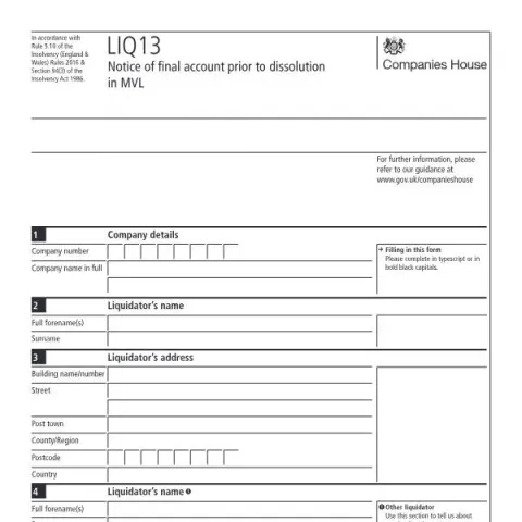 Document preview: The Role of LIQ13 in Members' Voluntary Liquidation — Government & admin (LIQ13)