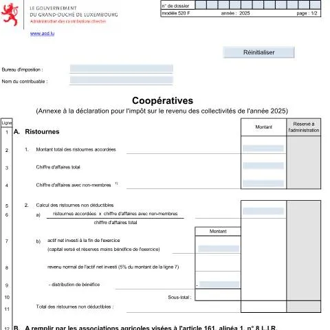 Aperçu du document L'Annexe 520 F : Un outil clé pour les coopératives luxembourgeoises — Démarches administratives (CERFA n°520 F)