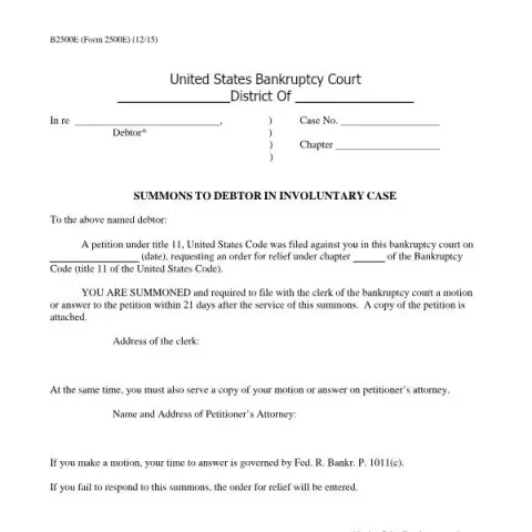 Document preview: Debtor Summons in Involuntary Bankruptcy Cases — Legal & justice (B2500E)