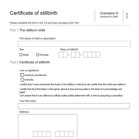 Document preview: How to Certify a Stillbirth: Legal Requirements and Process — Civil status & identity