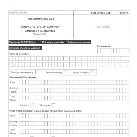 Document preview: Navigating the F6 Annual Return for Companies Limited by Guarantee — Government & admin (CERFA n°F6)