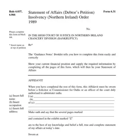 Document preview: Understanding the Statement of Affairs (Debtor’s Petition) Form 6.31 — Legal & justice (Form 6.31)