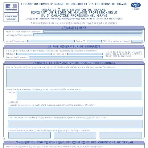 Aperçu du document Investigation CHSCT : pathologies liées au travail et risques graves — Santé (CERFA n°12760*01)