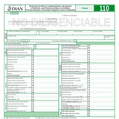 Vista previa del documento Todo sobre la Declaración de Renta y Complementarios F110-2010 — Impuestos (CERFA n°F110-2010)