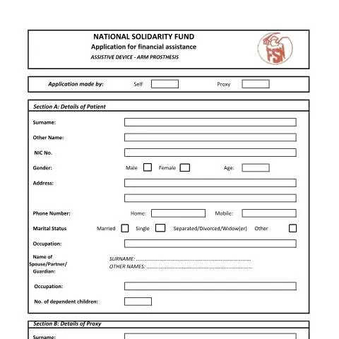 Document preview: Navigating the Arm Prosthesis Application Process — Health (CERFA n°Arm-Prosthesis)